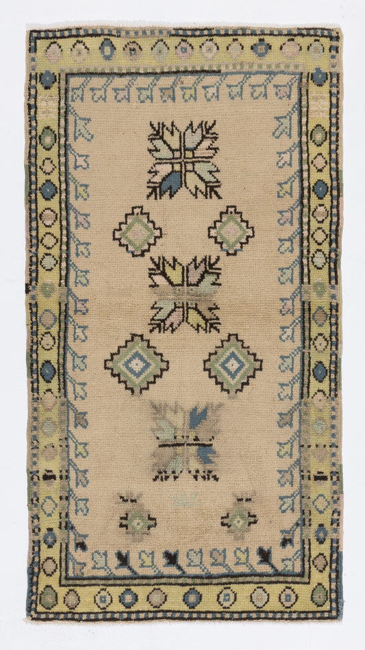 HOU2507173 | 34.25 | 2'2" X 4'3"